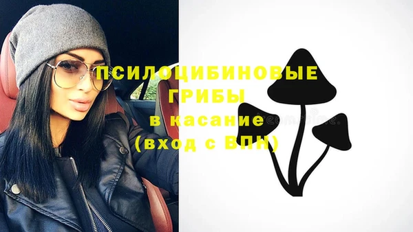 амф Алзамай