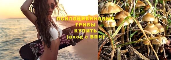 дмт Щучье