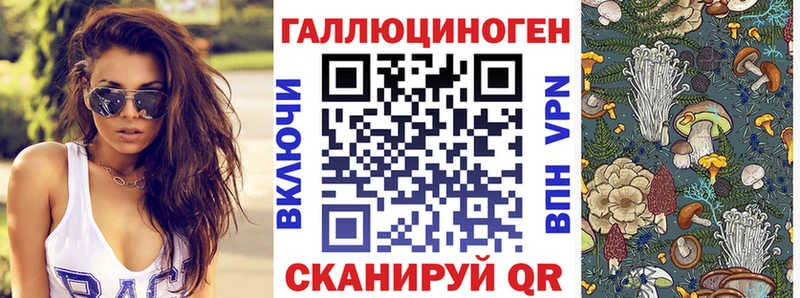 магазин  наркотиков  Чапаевск  Псилоцибиновые грибы Psilocybe 